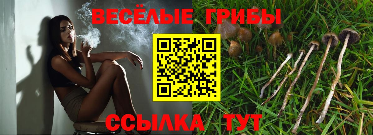 Псилоцибиновые грибы прущие грибы  Вход с VPN  Краснокаменск 