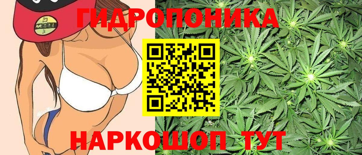 Шишки марихуана THC 21%  Бошки марихуана Amnesia  Краснокаменск  Конопля марихуана  Вход с VPN  Конопля LSD WEED 